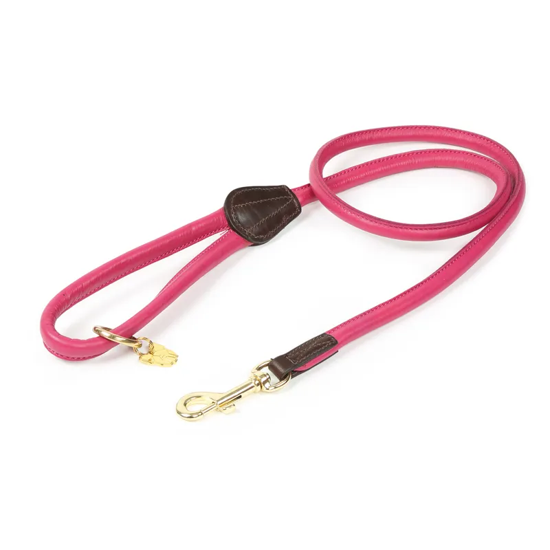 Digby and Fox Rolled Leather Dog Lead in Pink